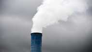 Countries risk 'paying polluters' billions to regulate for climate: UN expert