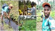 Graduate becomes full-time farmer to help contribute to country's food produce