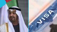 Dubai grants over 73,000 entry visas to nationals from select countries