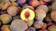 As climate changes, farms in US 'Peach State' Georgia suffer
