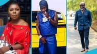 Afia Schwarzenegger blasts EOCO boss over Shatta Wale’s Lamborghini seizure