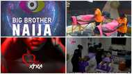 Perfect Match Xtra: TV3 changes Big Brother To Big Mama, gets netizens reacting to video