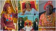 Mummy Dolarz replies Big Ivy's 'Mama Naira', calls out Shatta Wale in dis song: "Mama Ghana dey make noise"