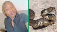 Student discovers roommate’s pet snake, is told to mind her own business: “You better move out ASAP”