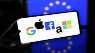 Dominance, data, disinformation: Europe's fight with Big Tech