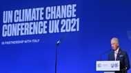 The green king: Charles the environmentalist
