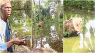 Sogidi Lake: The lake where fishes aren't eaten because it reportedly answers prayers