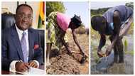 Agric sector players blast minister Afriyie Akoto for downplaying harsh experiences