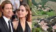 Angelina Jolie, Brad Pitt battle over GHc989 million French estate as actress plans on selling her stake