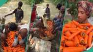 Viral video shows group of men using their feet to wash basket of carrots: "This is not hygienic"