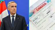 Canada names 3 categories of foreigners who can get work permit fee waiver