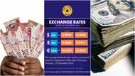 Experts forecast worse times for cedi despite ‘magical’ appreciation against dollar