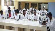 1 out of 3 lab technicians working in Ghana does not have the licence to operate