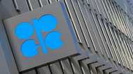 OPEC+ walks 'fine line' between US and Russia