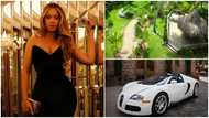 4 most expensive possessions owned by Beyoncé at the age of 41