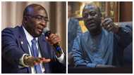 Dollar has arrested Bawumia – Mahama 'explains' why vice president has not commented on economy