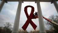 Fourth person 'cured' of HIV, but is a less risky cure in sight?