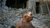 Fighting across southern front as Ukraine wages counter-offensive
