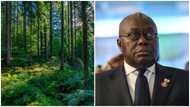 “It’s false”: Achimota forest has not been sold, says Lands Minister