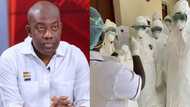 Auditor General’s report details how Information Ministry management, staff paid themselves GH¢151K as risk allowance during COVID-19