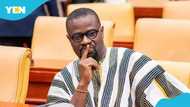 Annoh-Dompreh slammed for viral comments about beating NDC members