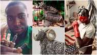 Talented man makes great arts using generator plugs, photos of his works cause massive stir