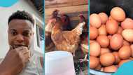 Young entrepreneur shares his journey to success on his poultry farm