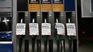 Hungary scraps petrol price caps amid fuel shortage