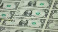 Asian markets track another Wall St record on rate hopes