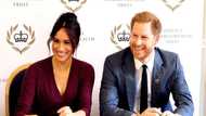 Prince Harry is living off inheritance his mom Princess Diana left him