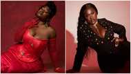 Sista Afia flaunts oily smooth skin in red-themed Valentine's Day outfits, fan questions whereabouts of lover