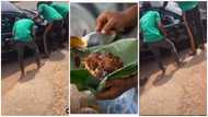 GH man in tears as he crashes car he borrowed to impress Waakye seller in his hood