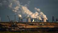 Dutch join Germany, Austria, in reverting to coal