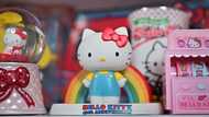 Hello Kitty owner plunges 17% on sharesale plan