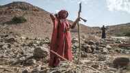 'Why are we being ignored' plead the hungry in Ethiopia's Afar