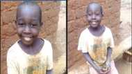 Heartwarming video of African boy singing his heart out lights up internet