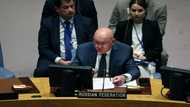 Russia 'regrets' IAEA report did not blame Ukraine: UN envoy