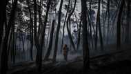 Portugal battles forest fires amid heatwave