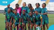WAFCON 2024: Nigeria crushes Zambia 5-0, secure semi-final spot