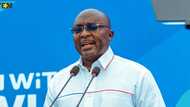 NPP flagbearer race: Bawumia explains why NDC hates him