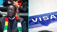 Zimbabwe lists 9 African countries whose citizens qualify for visa on arrival