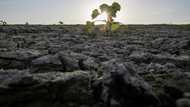 France on course for driest July on record: weather office