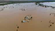 'Heartbreaking' floods swamp Australia's cattle country