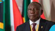 South Africa launches MEETS platform to speed up visa processing for some categories of foreigners