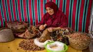 Shunned by youth, Morocco cosmetic oil craft faces uncertain future
