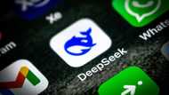 Upstart DeepSeek faces heightened scrutiny as AI wows