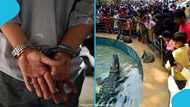 Man arrested after three-year-old boy injured in zoo crocodile enclosure