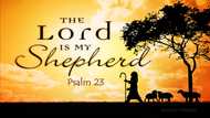 The Lord is my Shepherd: Psalm, meaning, song and sermon