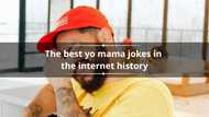 The best 100 yo mama jokes in the internet history