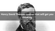 Top 50+ Henry David Thoreau quotes that will get you thinking